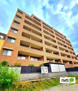 ハレクラニの画像