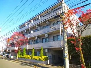 サァラ府中の画像