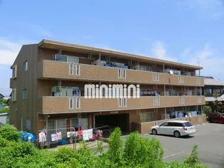 CAT FISH 壱番館の画像