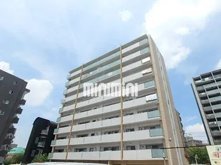 CENTRAL HILLSの画像