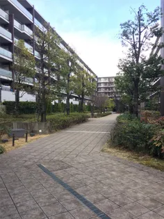 ザ ハウス港北綱島の画像