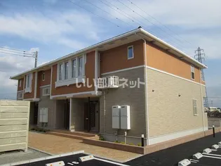 ドルチェ Nの画像