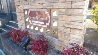 三重県津市高洲町【アパート】の間取り