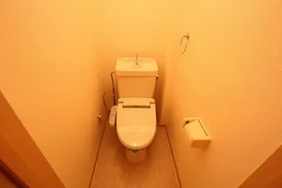 サンシャインハイツB【1階】の内装