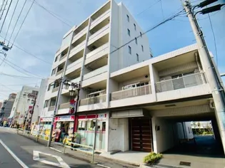 リマーブルヒラタの画像