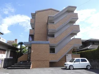 センチュリーコートの画像