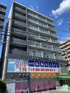 ステラコートの画像