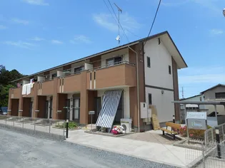 PRIMAL GOLD IIの画像