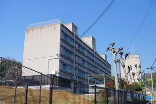 豊津団地の画像