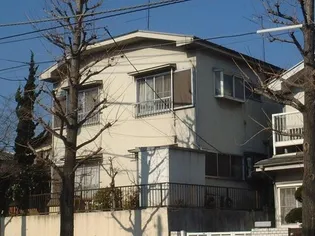 サンポプラの画像