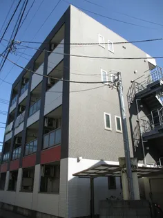 ルオーゴコモドの画像