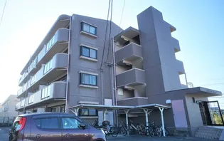 シャルマンドミールの画像