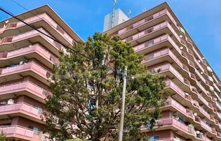 ネオハイツ江戸川台A棟の画像