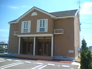 プリムローズDの画像