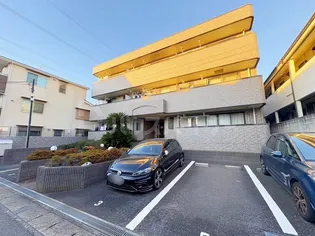 アカンサスKの画像