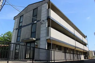 サンフラワーAの画像