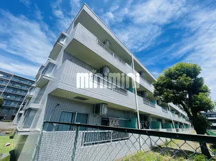 アラリベラの画像