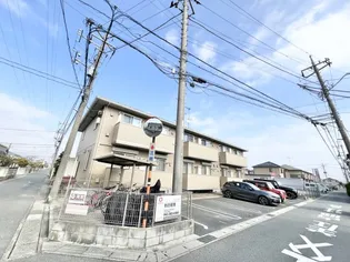 ボア ソルテの画像