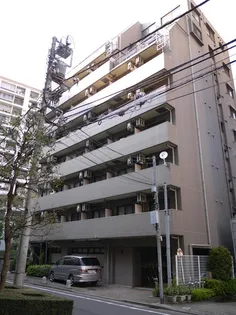 カテリーナ大森の画像