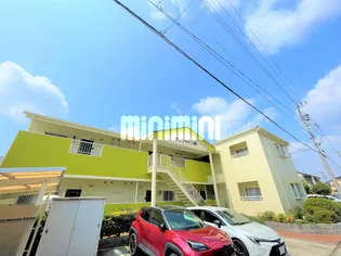 サンシャイン幸の画像