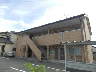 サープラスフミナの画像