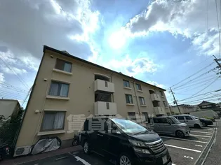 ヴァンベール91の画像