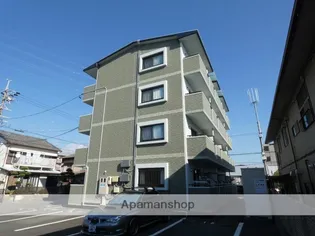 エルーセラの画像