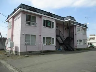 ハイムミヤコシの画像