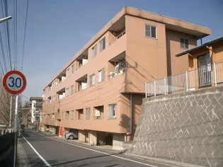 クラウンズマンション城南の画像