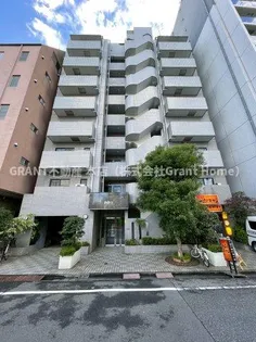 ビューハイムカトーの画像