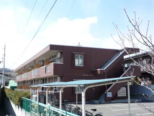 シティーホームズ桐【1階】の外観