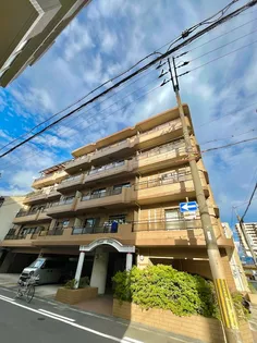 コーエイエステートの画像