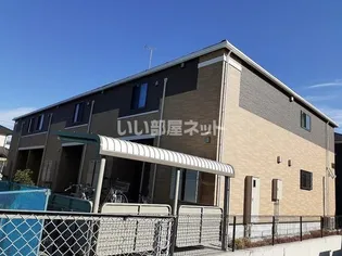 ブルームスターの画像