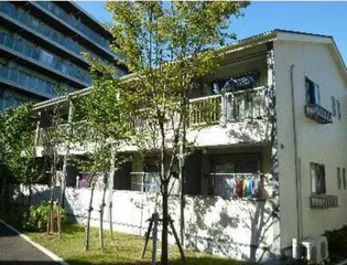 フォセットの画像