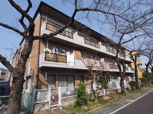 サミットピスガの画像