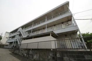 フェニックスの画像