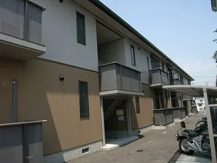 コルピーナの画像
