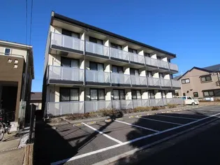 クリサンスマムIIの画像