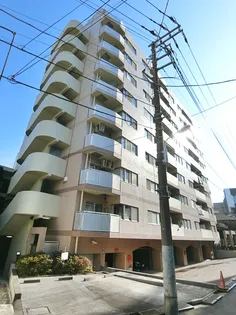 ウィンベルコーラス浅草の画像