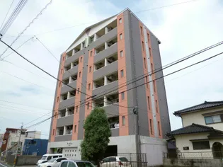 マ メゾンの画像