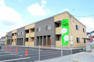 アイリスDの画像