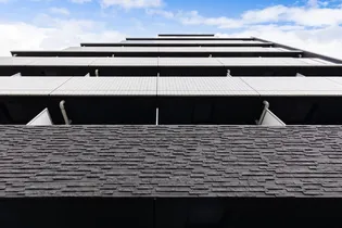 アルテシモフェリオの画像