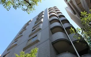 プラン デスポワールの画像