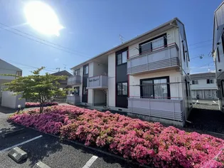 パディ ヴィレッジ Aの画像