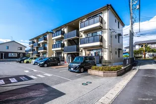 ドストーレスみわの画像