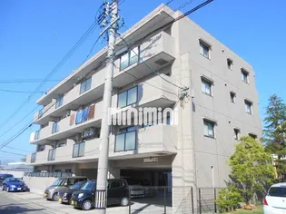 グレイシャス21の画像