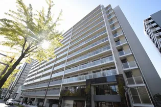 エスリード難波ザ・アーク【6階】の外観