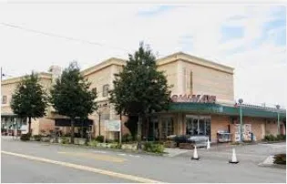 マンション中野【3階】の周辺