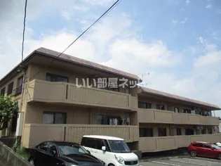 マリークレウェンの画像