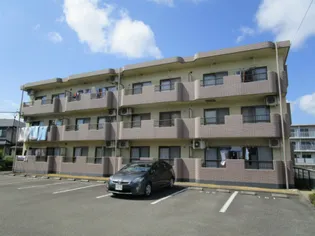 アルバIIの画像